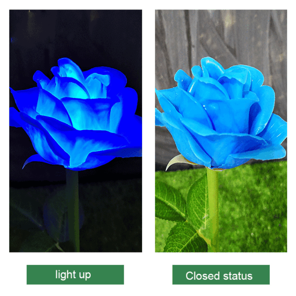 LED rose lights, solar powered floor lights, dreamy lighting festival products, outdoor landscape floor lights, rose sea working status